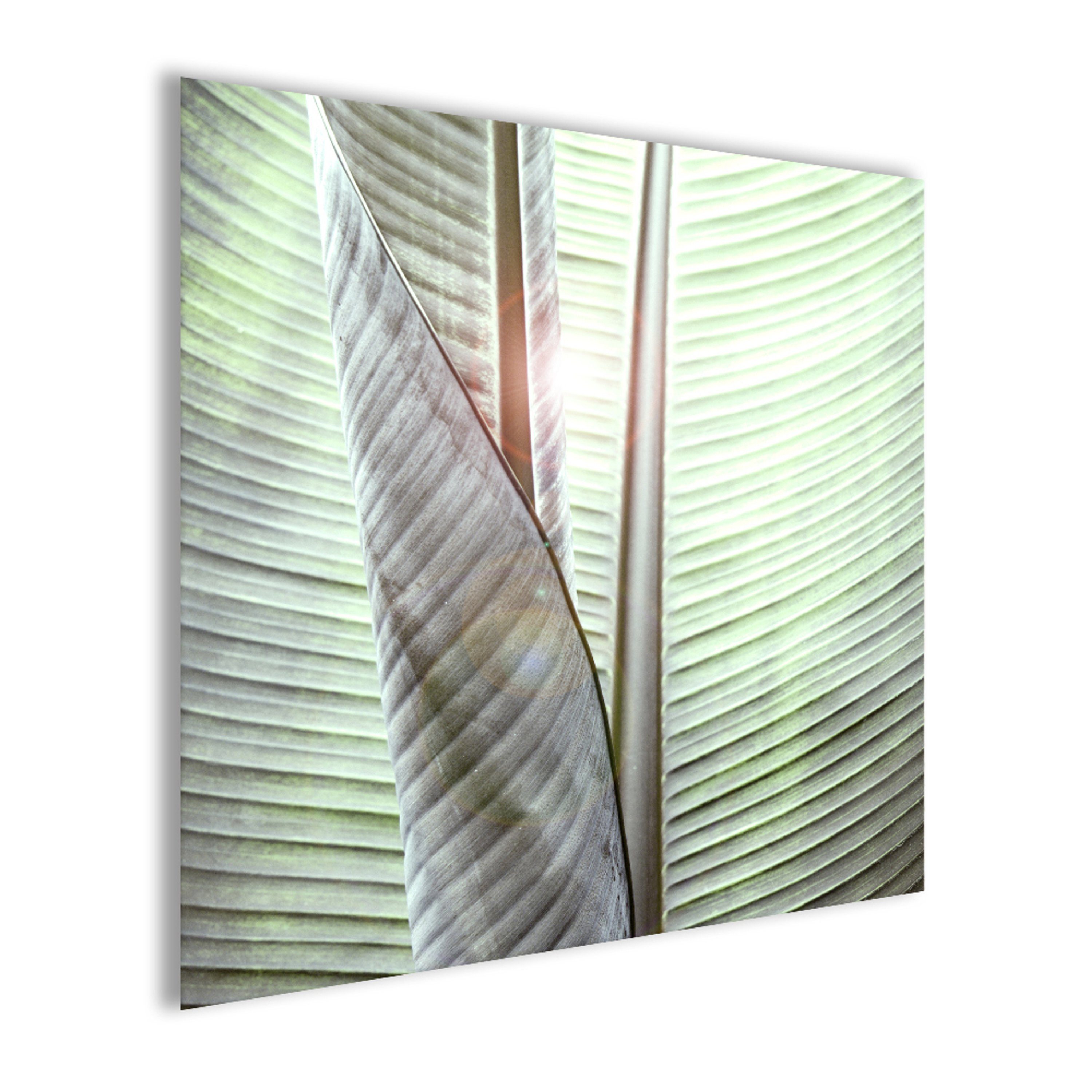 Natur Natur: Glasbild grün Glasbild 30x30cm Grünes Bild Blatt Tropical, Blatt artissimo
