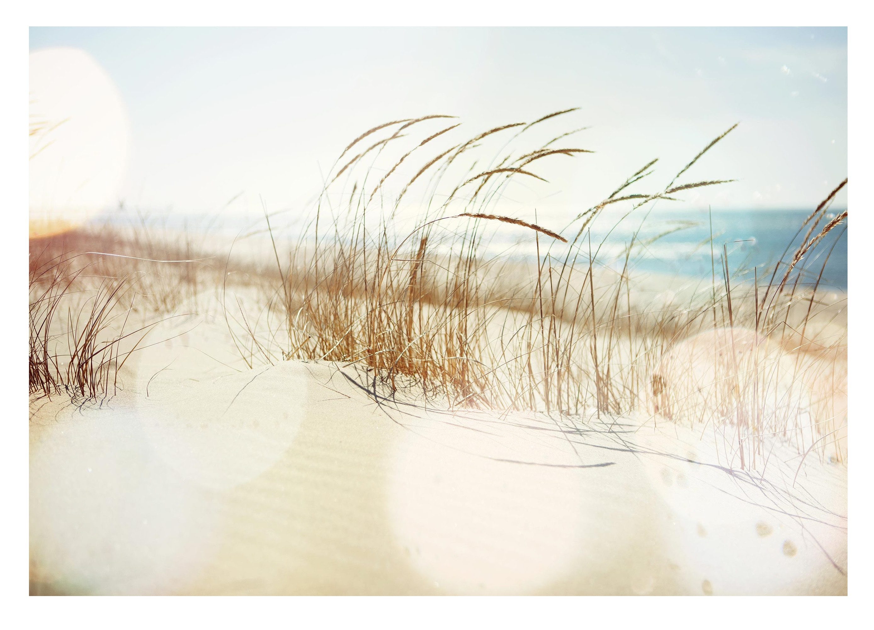 Wallarena Fototapete Strand Meer Natur Vlies Tapete Wohnzimmer Schlafzimmer günstig online kaufen