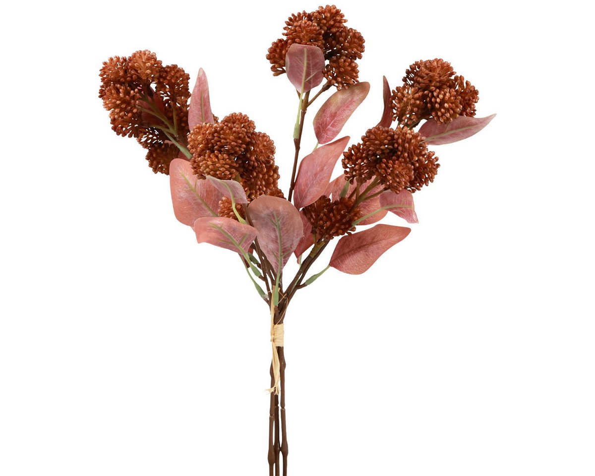 Kunstblume Fette Henne Rot Sedum Mauerpfeffer Kunstblumen 41cm 3er Set, 3 Stück, Florists Products, Höhe 2 cm
