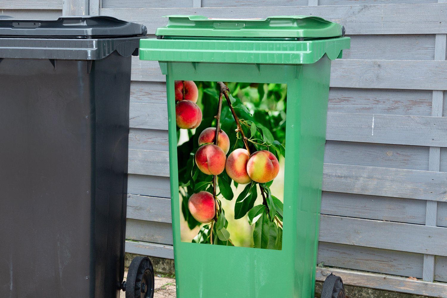 MuchoWow Wandsticker Obstbäume - Container, - Mülltonne, (1 Pfirsich St), Abfalbehälter Frühling Sticker, Mülleimer-aufkleber
