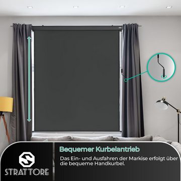 Strattore Balkonsichtschutz Ausziehbare Senkrechtmarkise 120 x 250 cm - Anthrazit