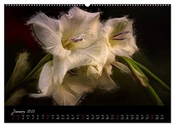CALVENDO Wandkalender Gladiolus Floral Impressions (Premium-Calendar 2023 DIN A2 Landscape)