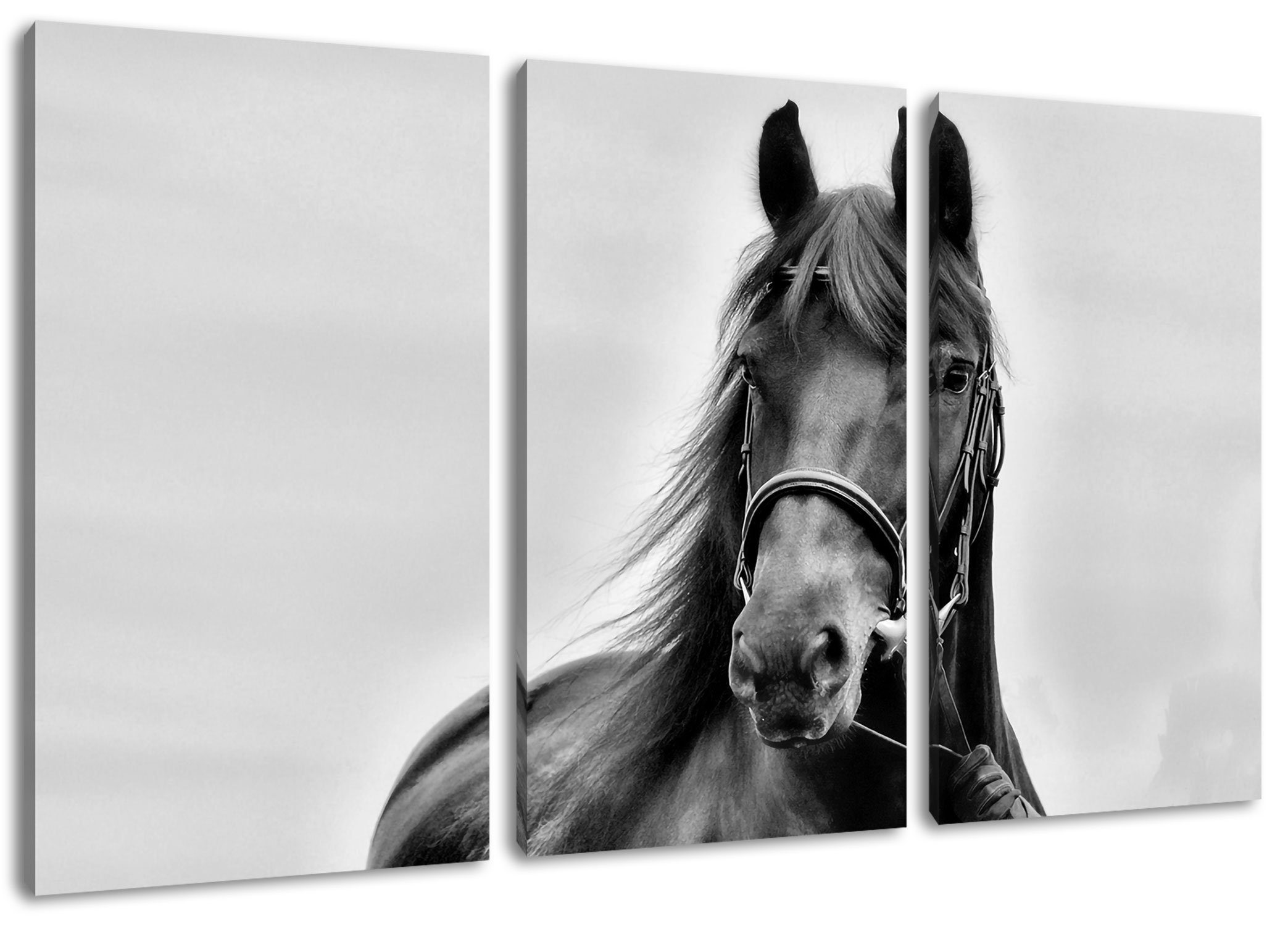 Schönes Leinwandbild Pferd, Leinwandbild Schönes Pferd (1 fertig 3Teiler (120x80cm) St), inkl. Zackenaufhänger Pixxprint bespannt,