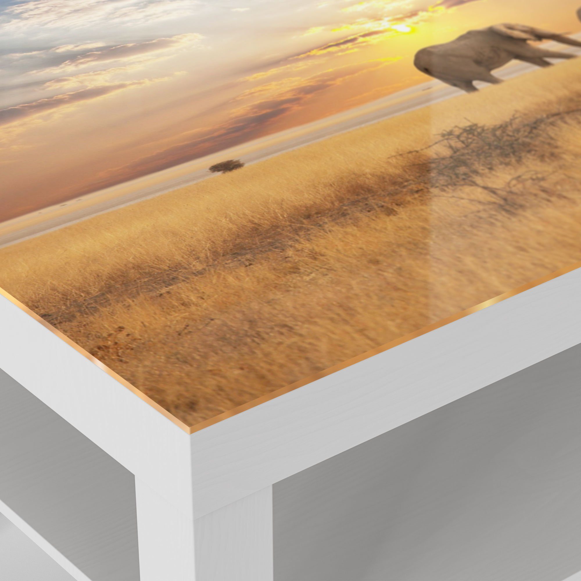 DEQORI Couchtisch der Steppe', Glastisch 'Elefanten Beistelltisch modern Weiß in Glas