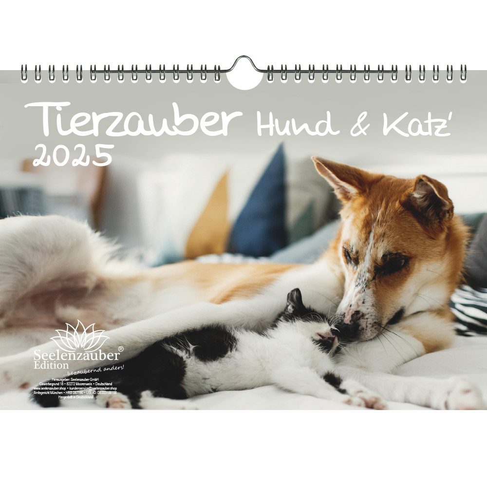 Seelenzauber Wandkalender Tierzauber Hund und Katz DIN A4 Kalender für