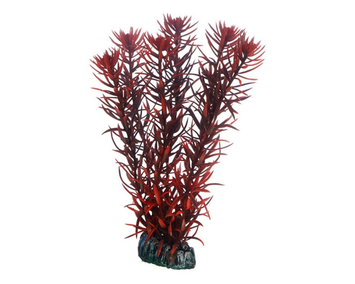 HOBBY Aquariendeko Eusteralis 20 cm - künstliche Aquariumpflanze