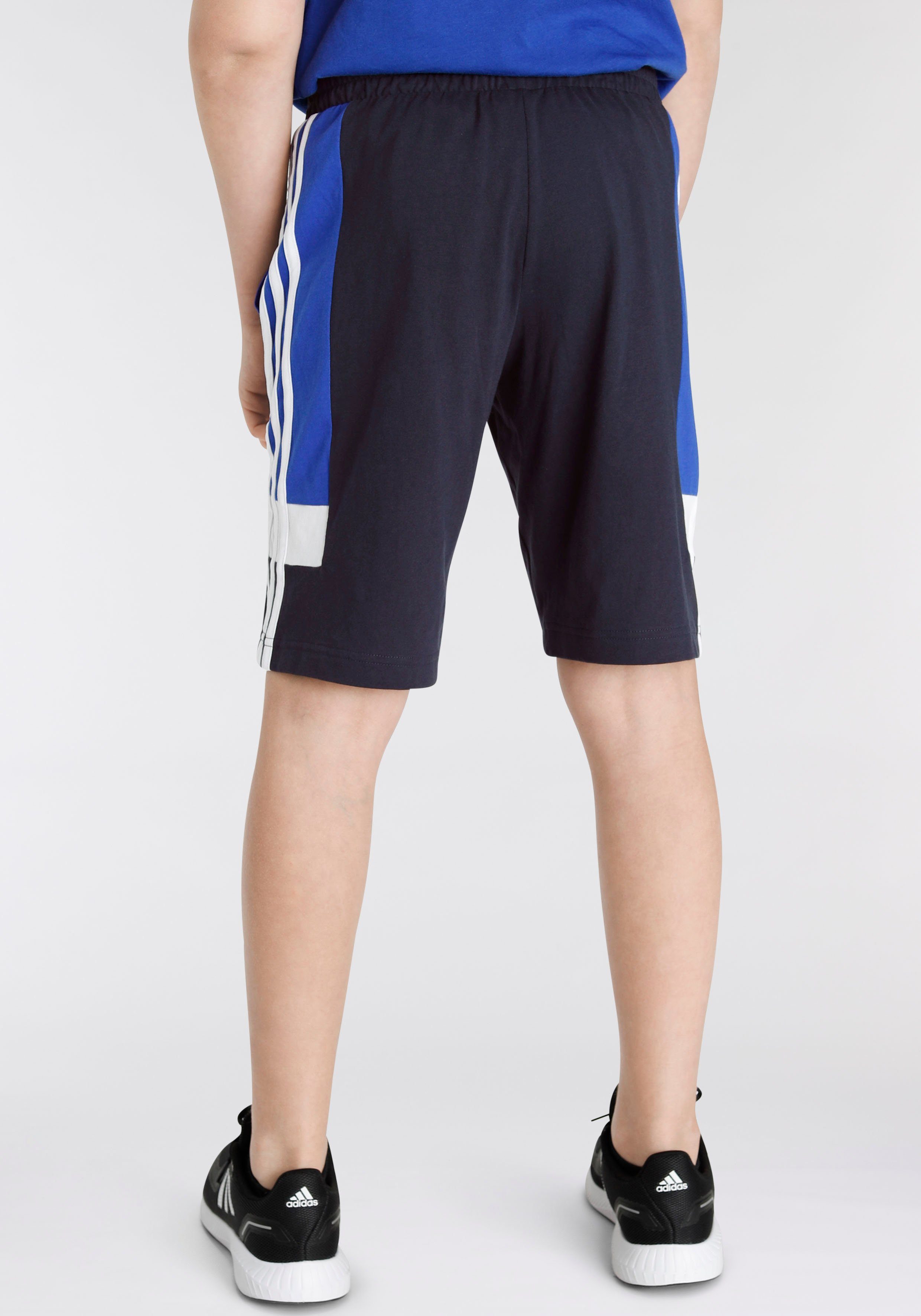 adidas / 3-STREIFEN Semi FIT White Legend Shorts Ink COLORBLOCK Lucid (1-tlg) / Blue Sportswear REGULAR