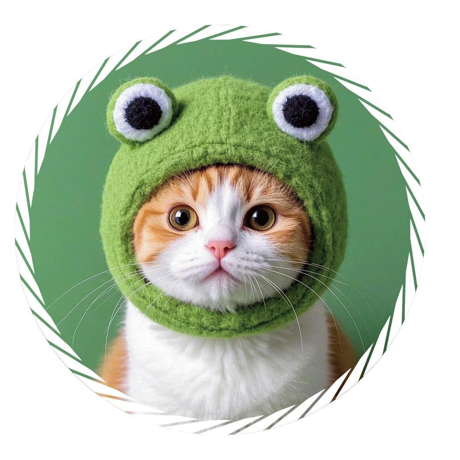 LuxusKollektion Aufkleber Auto Aufkleber PVC Katze Katzen Foto Serie – Frosch Mütze Variante