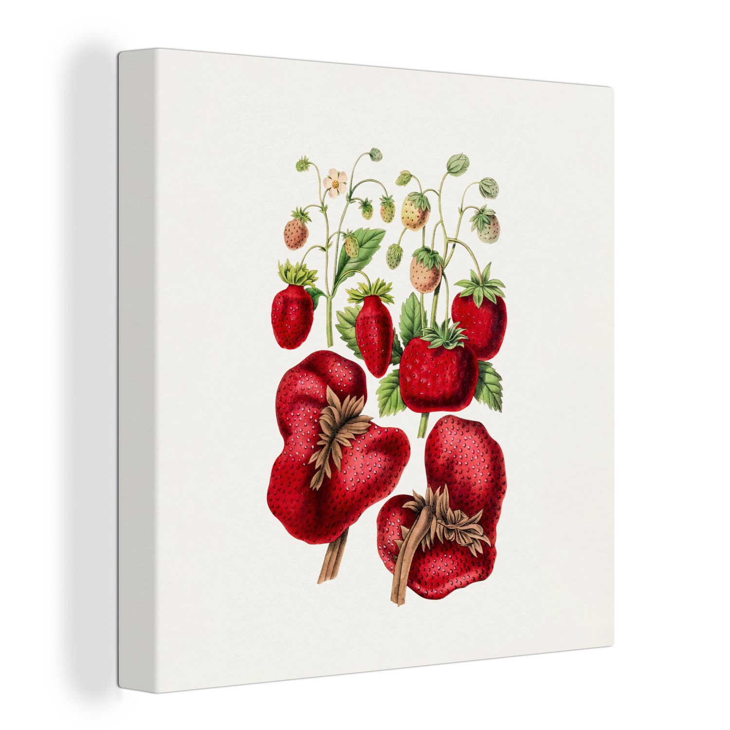 OneMillionCanvasses® Leinwandbild Erdbeeren - Obst - Lebensmittel, (1 St), Leinwand Bilder für Wohnzimmer Schlafzimmer
