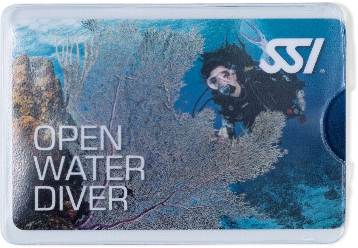 HERMA Schreibgeräteetui Ausweishüllen 58x87mm für Kredit-/Scheckkarte