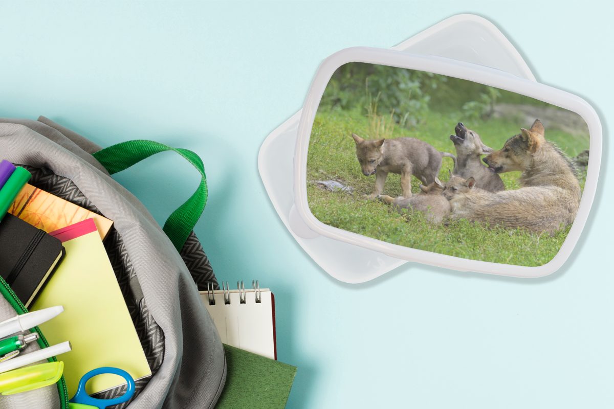 MuchoWow Lunchbox Wolf - Kunststoff, Gras, und Jungs Erwachsene, für für Mädchen weiß Brotdose, Brotbox Jungtiere - (2-tlg), Kinder und
