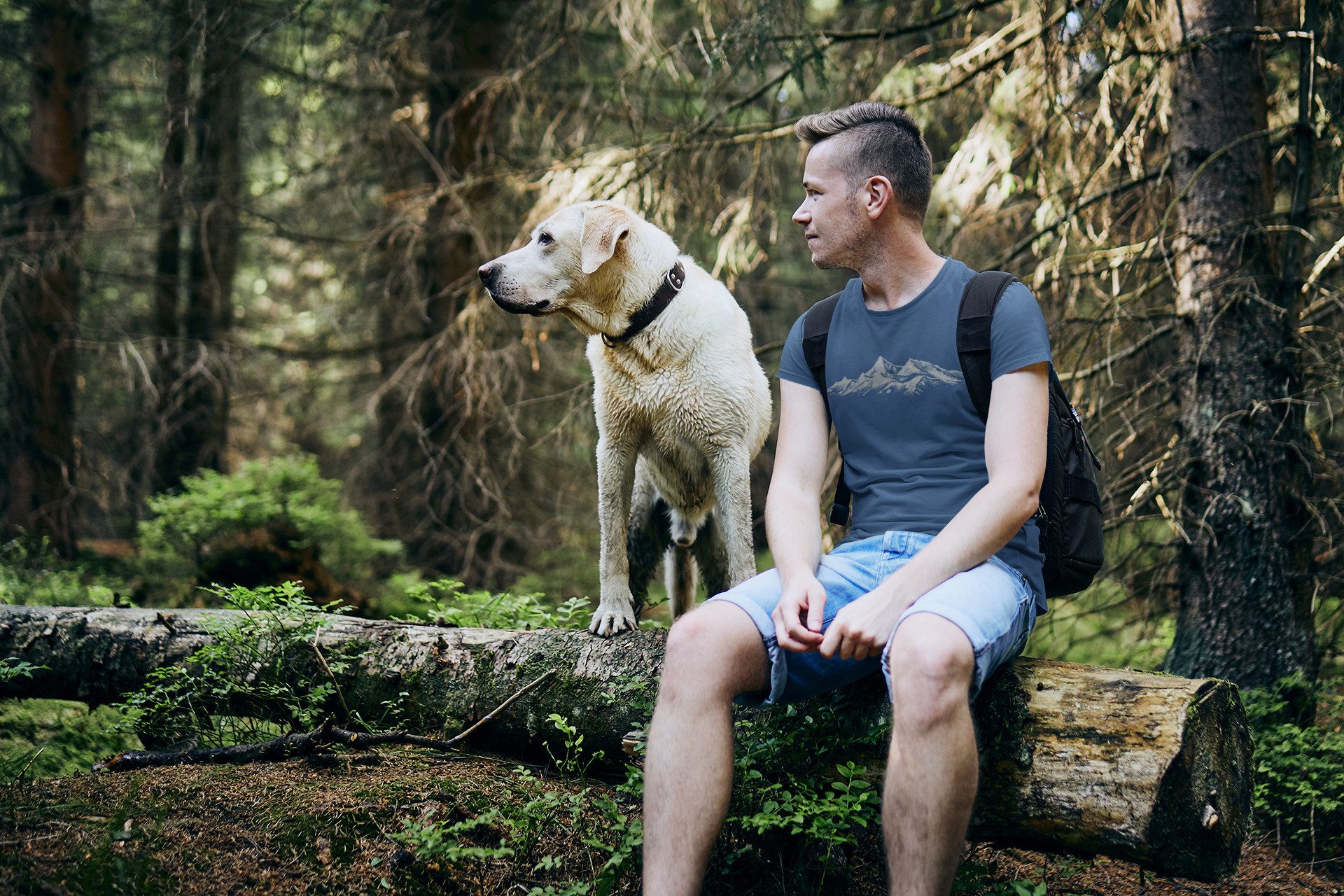 Baddery Print-Shirt Wander T-Shirt: "Alpengipfel" - Kletter T-Shirt für Wan günstig online kaufen