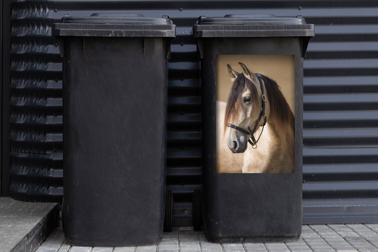 Andalusier MuchoWow - Mülleimer-aufkleber, Abfalbehälter Mülltonne, Sticker, (1 - Wandsticker Halfter Braun St), - Container, Pferd
