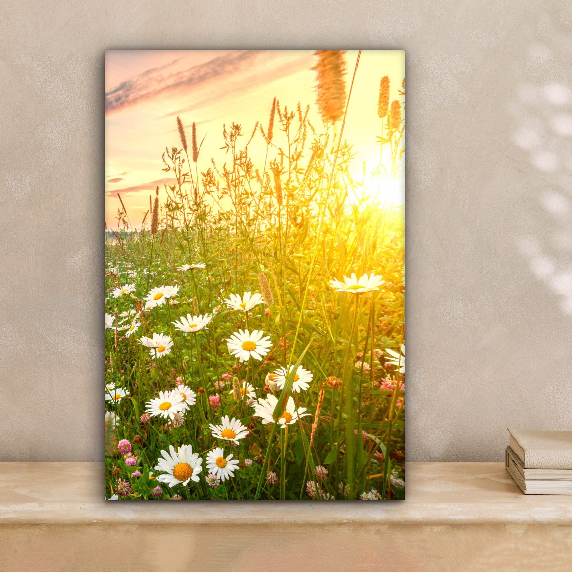 OneMillionCanvasses® Leinwandbild Blumen - Gänseblümchen - Natur - Sonne - günstig online kaufen