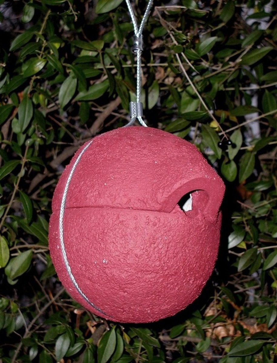 Schwegler Nistkasten Naturschutzprodukt Nisthilfe Zaunkönigkugel 1ZA Herbstlicht rot