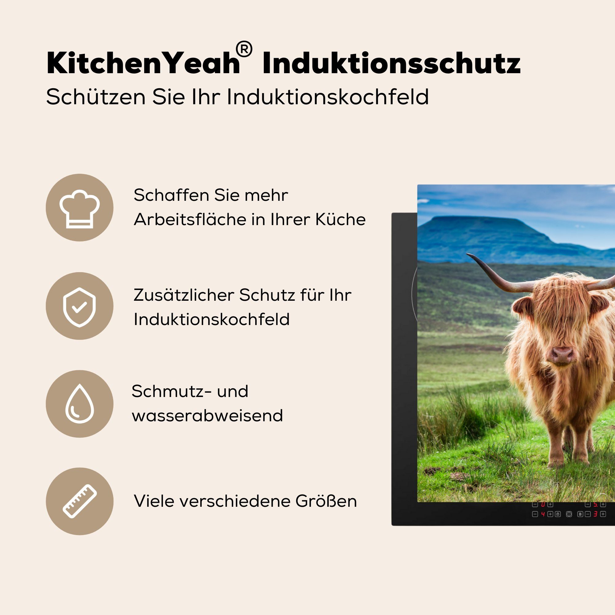MuchoWow Herdblende-/Abdeckplatte Kühe - Schottische cm, Highlander Induktionskochfeld - für Schottland, tlg), Ceranfeldabdeckung Schutz (1 küche, 81x52 Vinyl, die