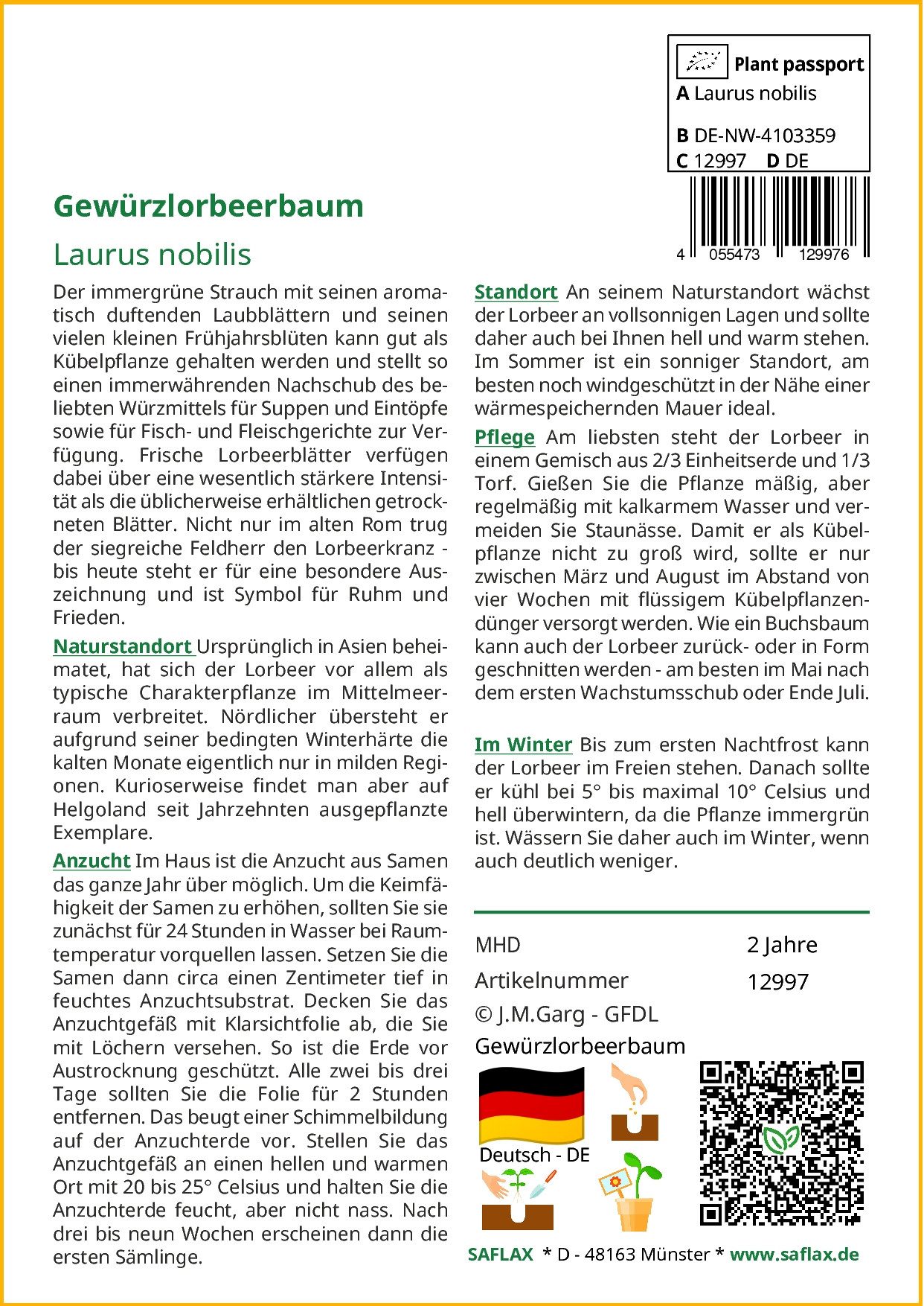 SAFLAX Blumensamen SAFLAX - Samen - Gewürzlorbeerbaum