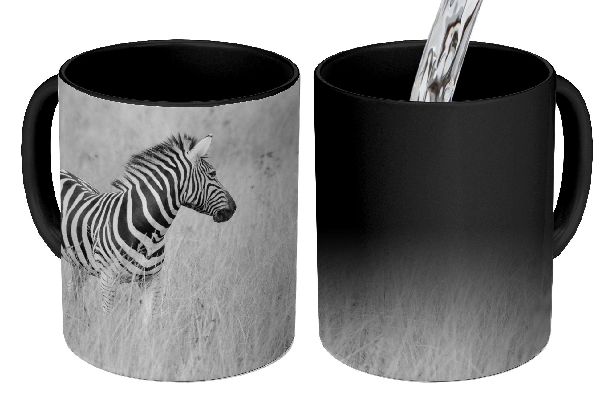 MuchoWow Tasse Zebra auf der Wiese, Keramik, Farbwechsel, Kaffeetassen, Teetasse, Zaubertasse, Geschenk