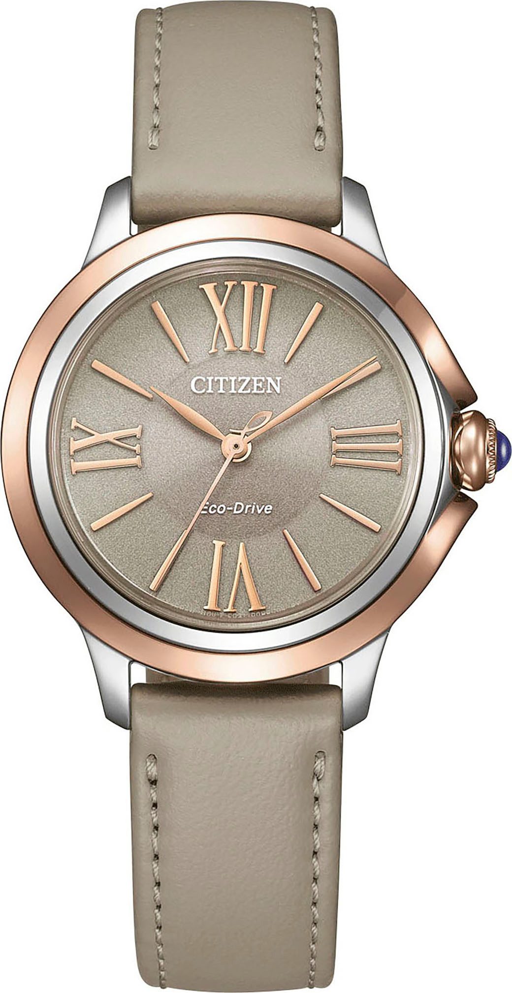 Citizen Solaruhr Citizen L EM1166-01Z, Armbanduhr, günstig online kaufen