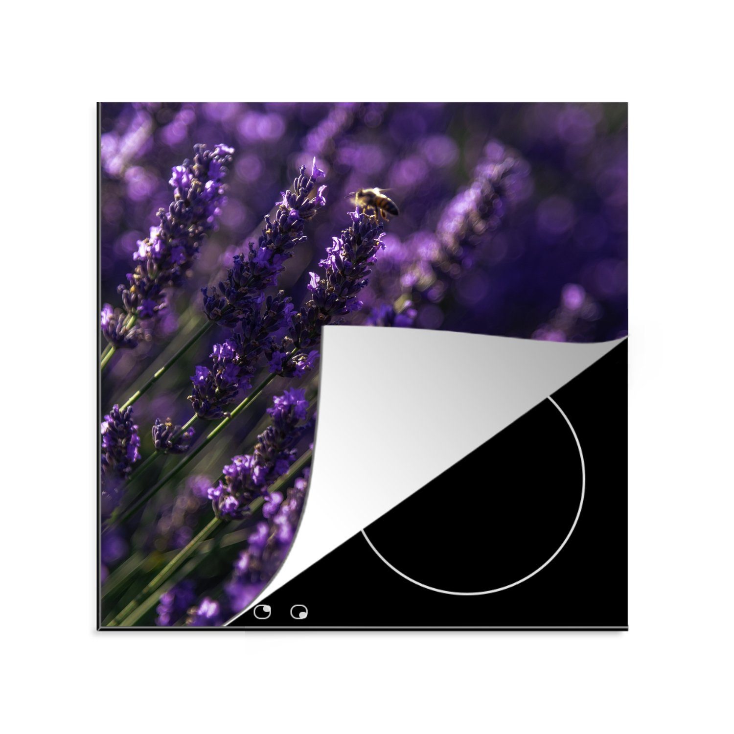MuchoWow Herdblende-/Abdeckplatte Nahaufnahme von Lavendel mit Biene, Vinyl, (1 tlg), 78x78 cm, Ceranfeldabdeckung, Arbeitsplatte für küche