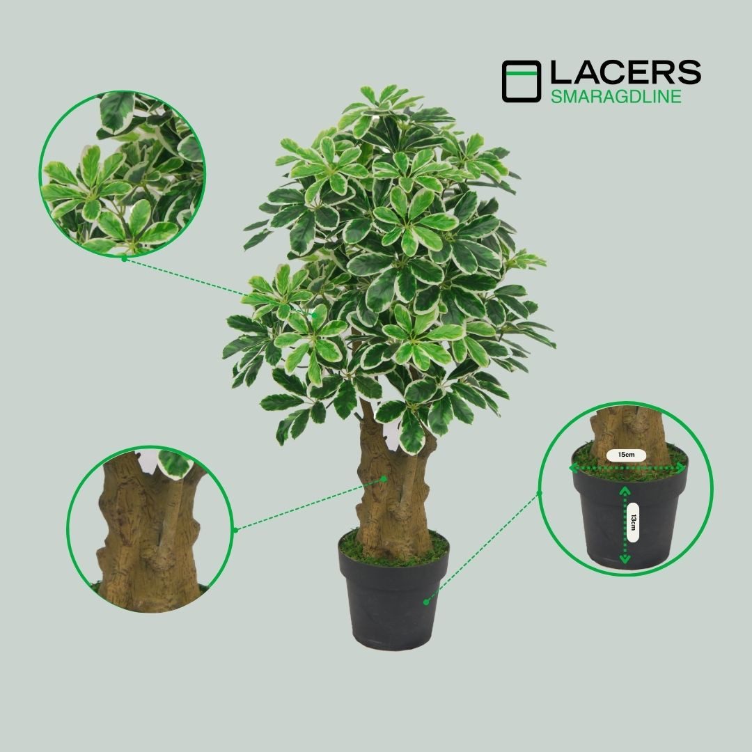 Kunstbaum SMARAGDLINE künstliche Bäume in verschiedenen Ausführungen und Größen Verschiedene Kunstbäume, Lacers, Höhe 100 cm, realistische Haptik, umweltfreundlich, naturgetreu, tierfreundlich