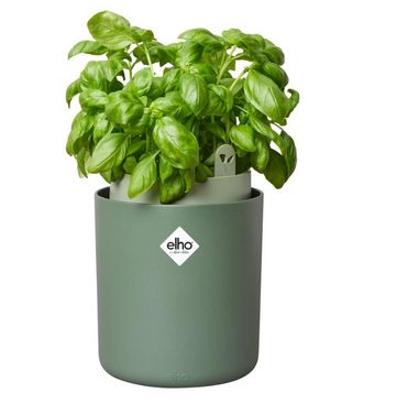 Elho Kräutertopf ELHO Bouncy Basil Kräutertopf