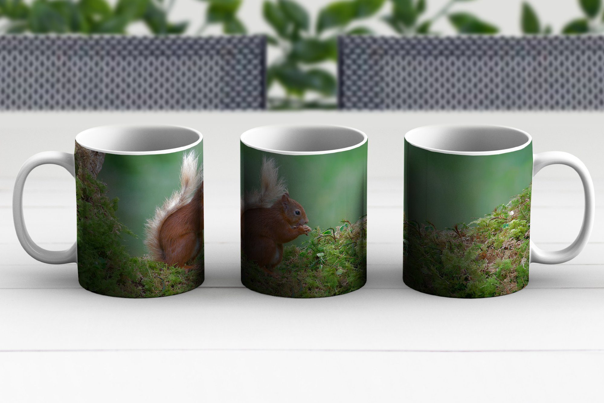 Teetasse, MuchoWow Kaffeetassen, Moos, Teetasse, Wald Geschenk Becher, - Keramik, - Tasse Eichhörnchen