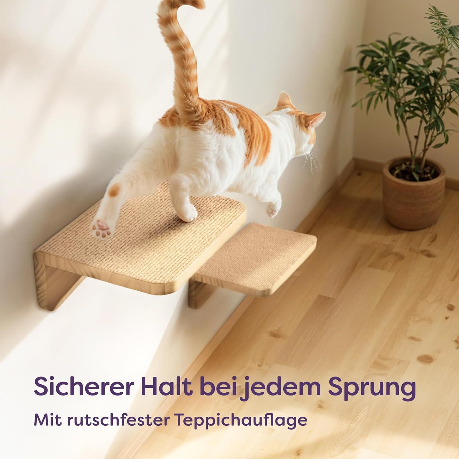 Knupis Kratzbaum Katzen Kletterwand Set mit Hängematte & 2X Katzentreppe - Kiefernholz, stabile Wandliege bis 30 kg – Für Spielspaß & Gemütlichkeit - FSC®