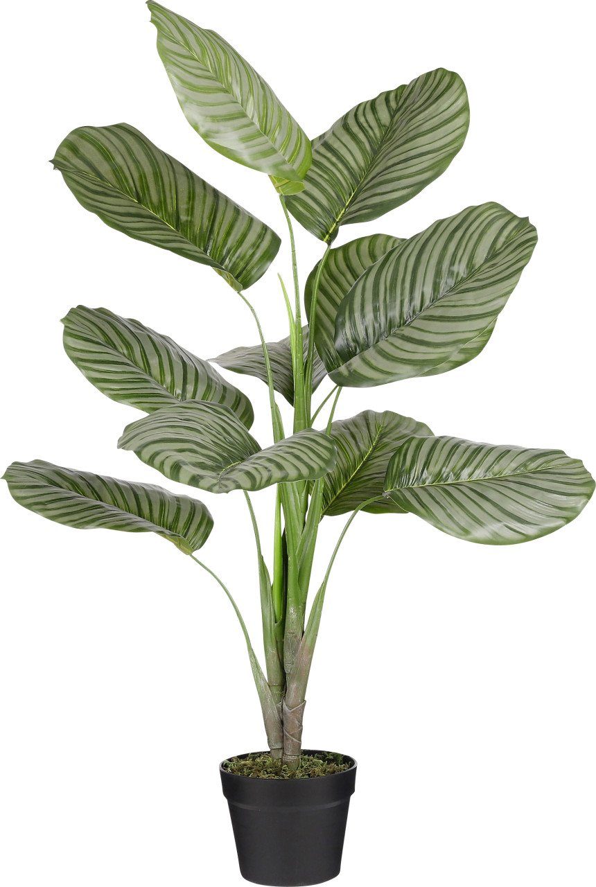 Kunstpflanze Mica Kunstpflanze Calathea orbifolia im Topf grün, Mica