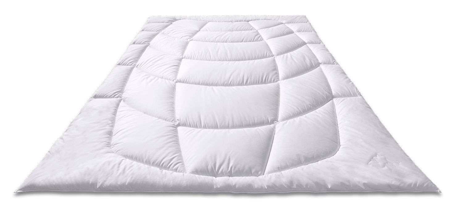 Sanders Kauffmann Naturhaarbettdecke Kamelhaarbettdecke Steppbett - Duo (Warm), Füllung: 100% Kamelhaar, Bezug: 100% Baumwolle, Optimale Wärmeregulierung, natürlich trockenes Schlafklima