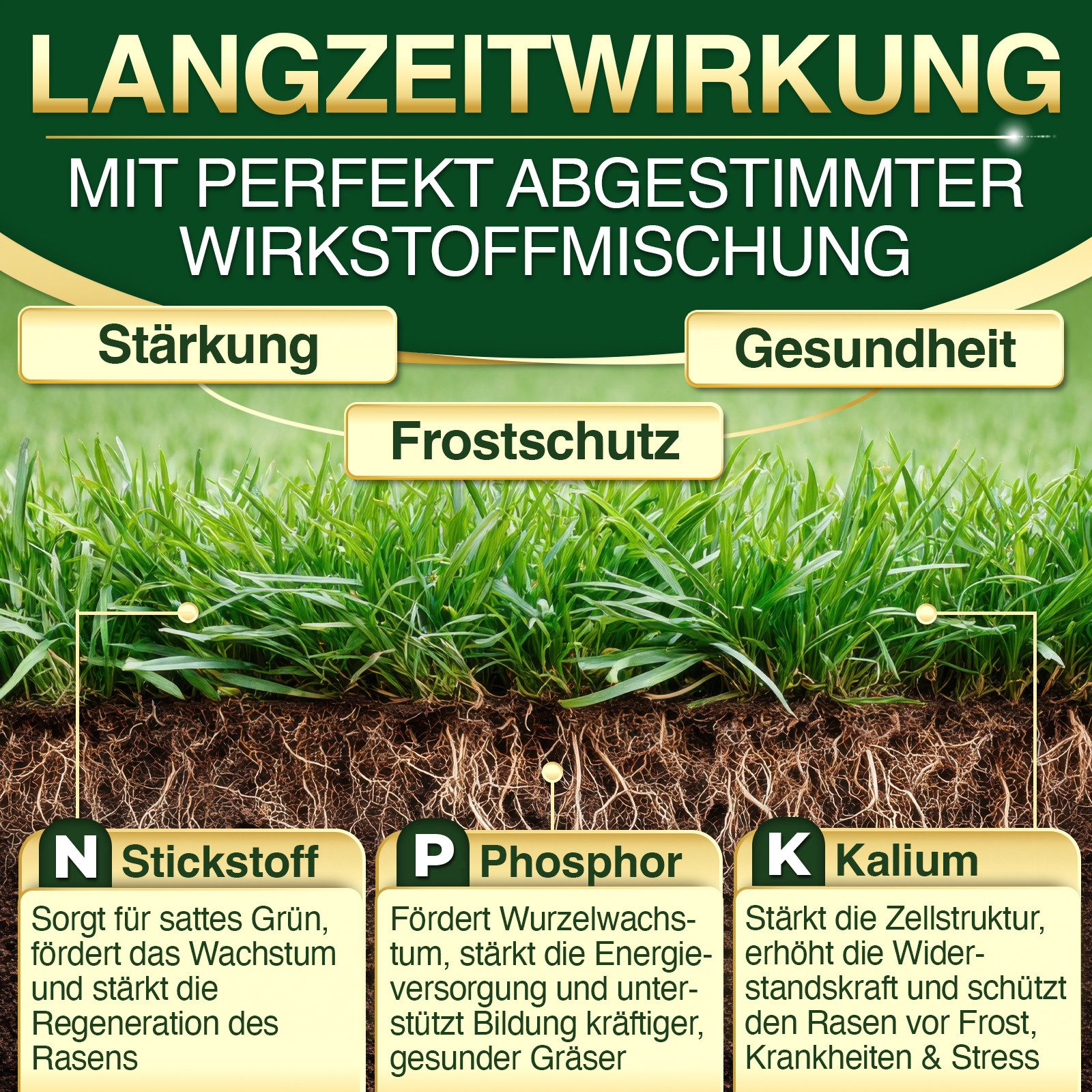 DÜNGEMEISTER Rasendünger Herbstdünger Herbst Kalium SchutzPlus 10/20/30kg 500-1500qm, 10 kg, Langzeitwirkung & Kalium SchutzPlus, stärkt die Widerstandskraft ge – Bild 4 von 5