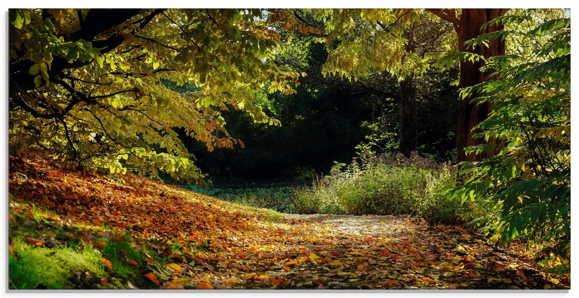 verschiedenen Artland St), Größen Herbstteppich, Wald (1 Glasbild in