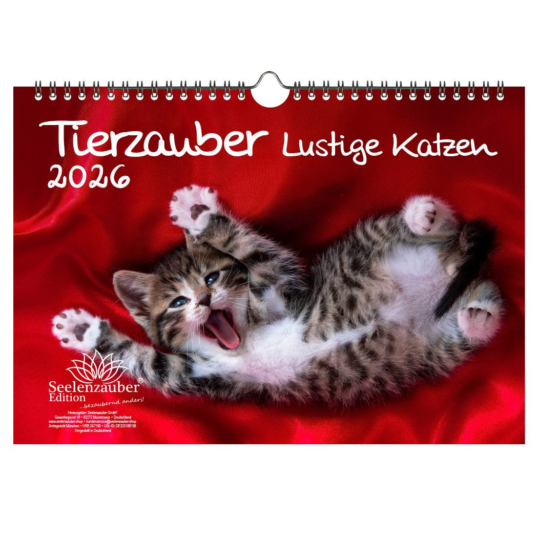 Seelenzauber Wandkalender Tierzauber lustige Katzen DIN A4 Kalender für 2026 Lustige Katzen