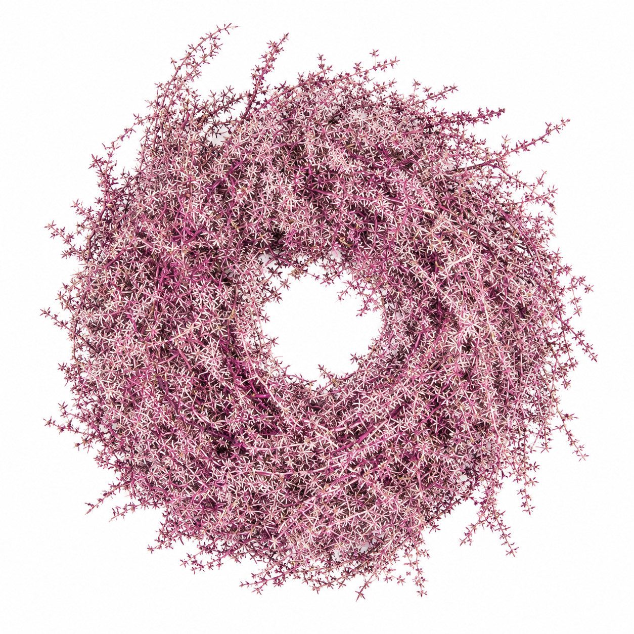 finehomegarden Dekokranz Asparagus Kranz Ø35 cm aubergine Dekorativer Naturkranz Deko Türkranz, Wand & Tischkranz – Rustikale Herbstdeko aus Naturmaterial