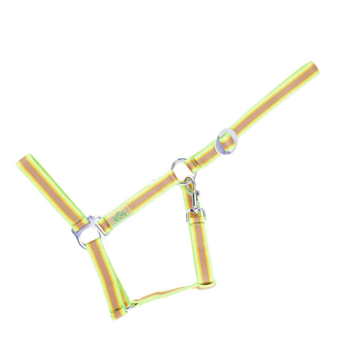 USG Halfter Halfter Pferd Vollblut cob gepolstert verschiedene Farben, Nylon, Metall, gepolstert