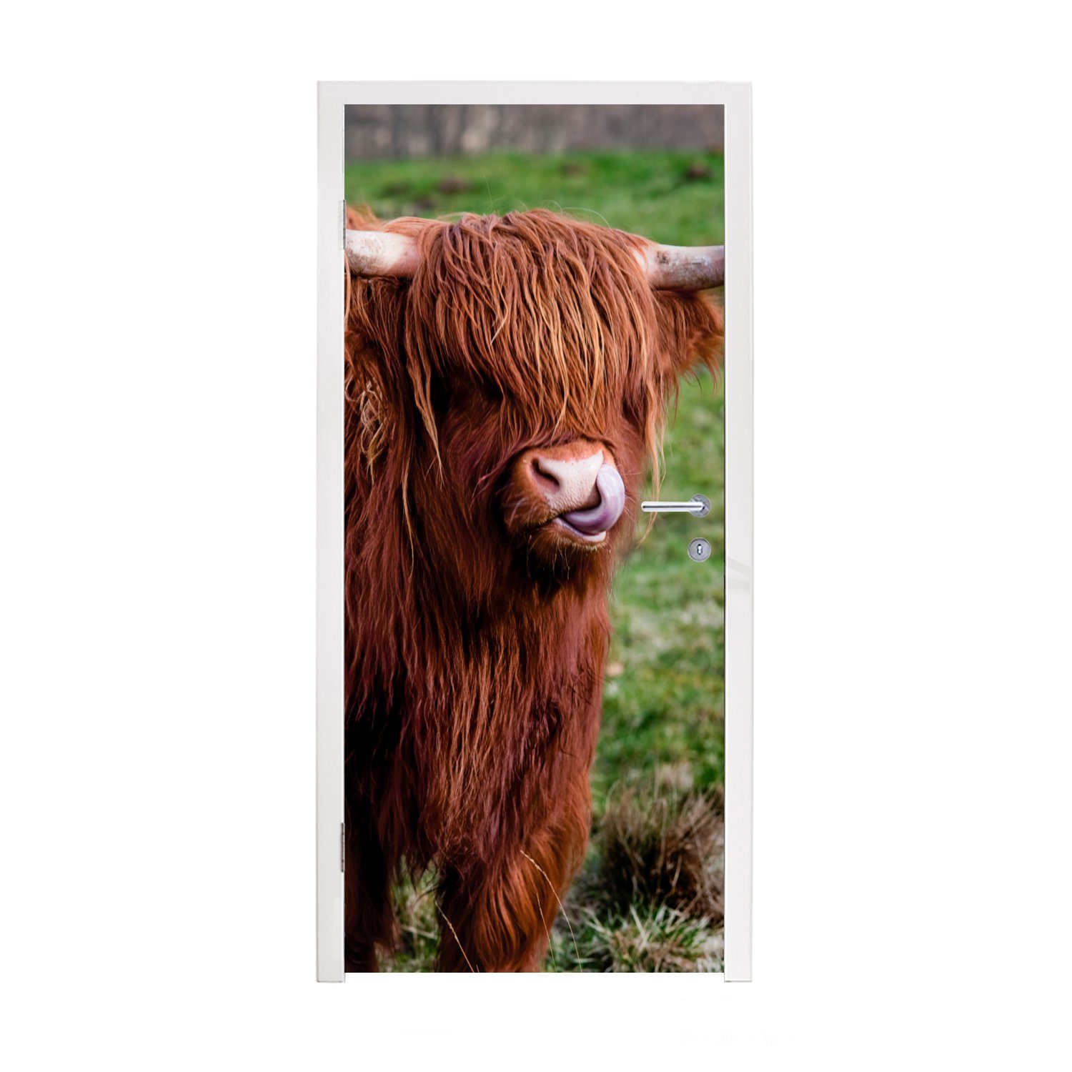 MuchoWow Türtapete Schottischer Highlander - Porträt - Schottische Kuh, Matt, bedruckt, (1 St), Fototapete für Tür, Türaufkleber, 75x205 cm