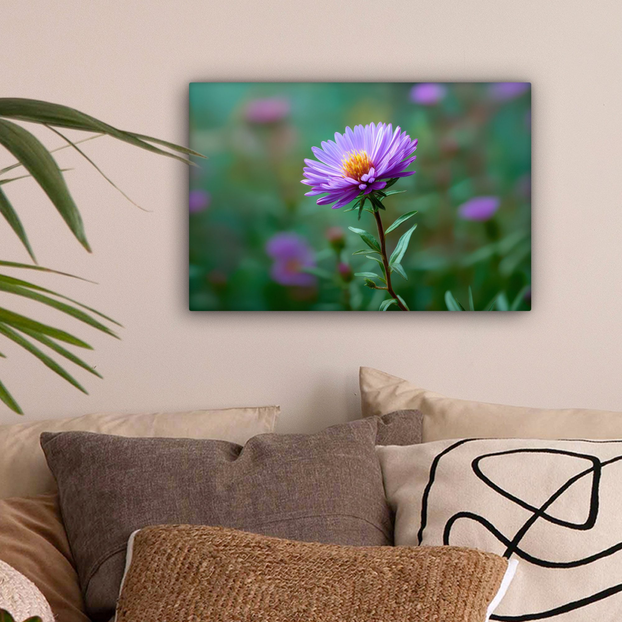 OneMillionCanvasses® Leinwandbild Aster - Lila - günstig online kaufen