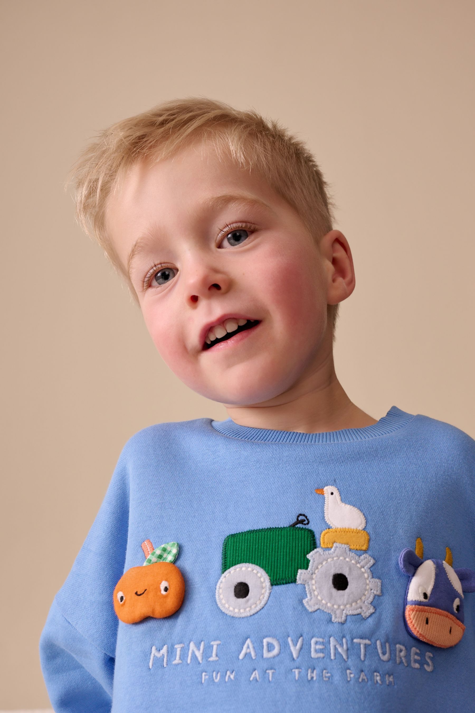 Next Sweater Sweatshirt mit Rundhalsausschnitt aus Baumwolle (1-tlg)