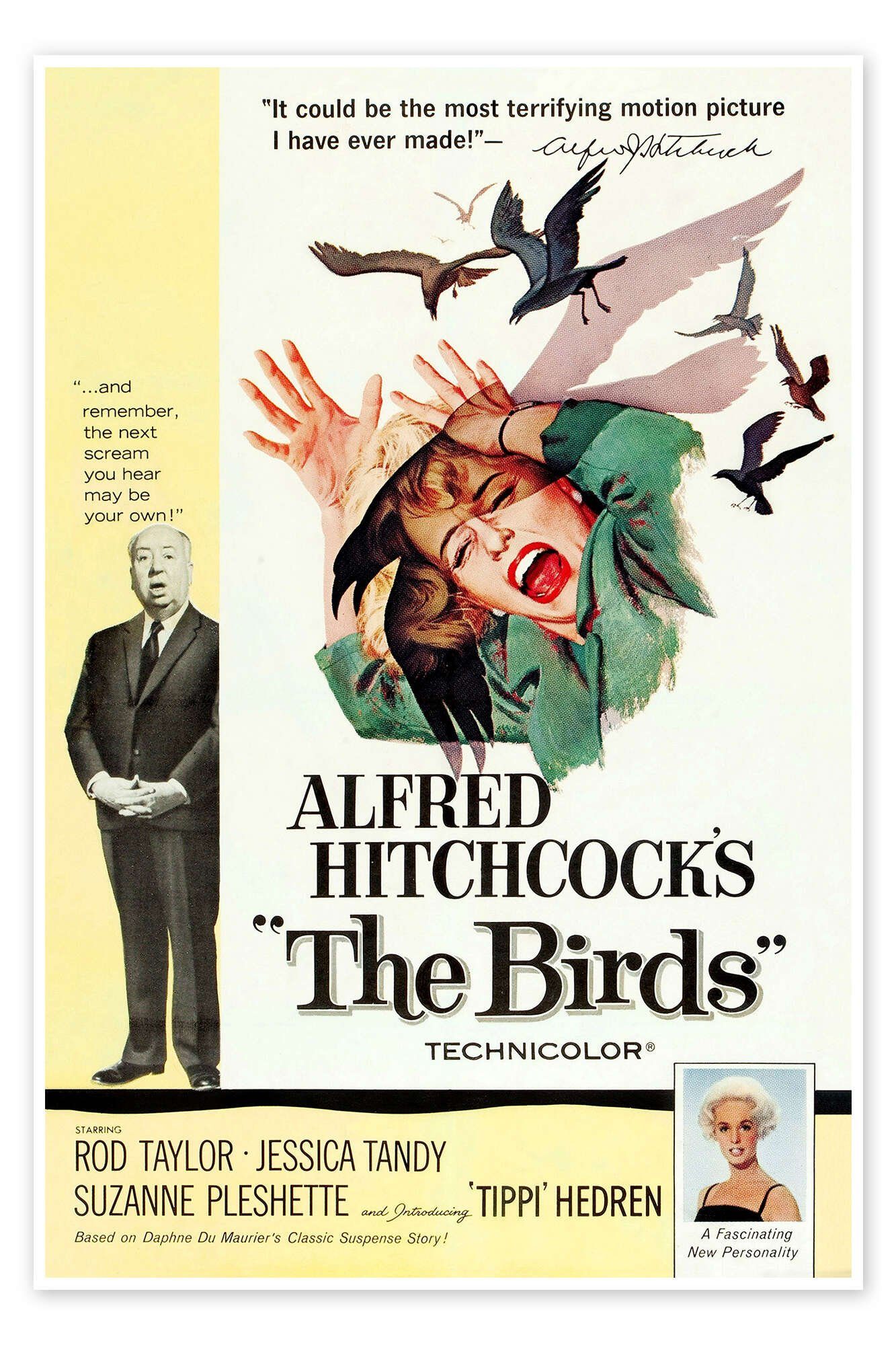 Posterlounge Poster Everett Collection, Die Vögel (englisch), Illustration
