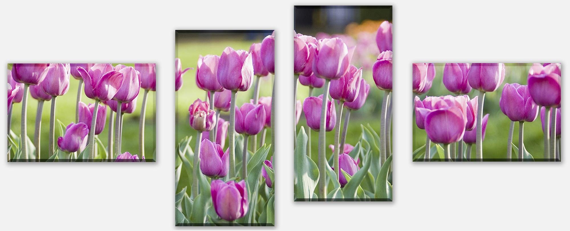 wandmotiv24 Mehrteilige Bilder Pinke Tulpen, Blumen und Pflanzen (Set, 4 St), Wandbild, Wanddeko, Leinwandbilder in versch. Größen