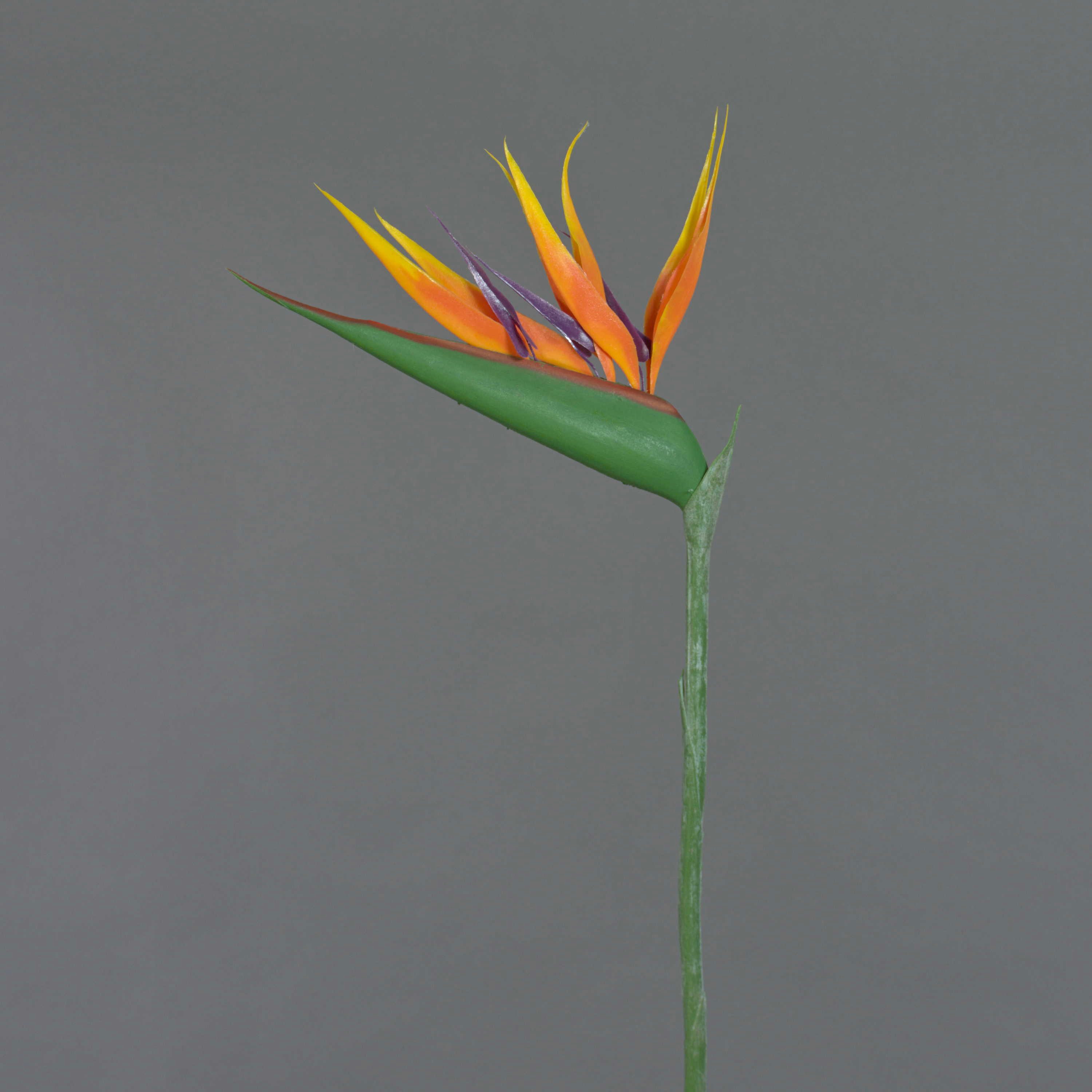 Kunstpalme Deko Blume Papageienblume ALLISSA, orange-violett, 90cm, 17x24cm Strelitzie, artplants, Höhe 90 cm