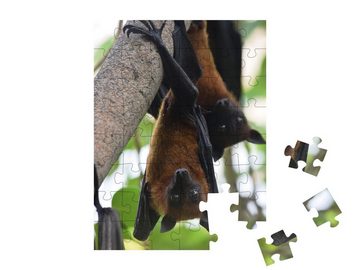 puzzleYOU Puzzle Fledermäuse: indischee Flughunde kopfüber im Baum, 48 Puzzleteile, puzzleYOU-Kollektionen Fledermäuse