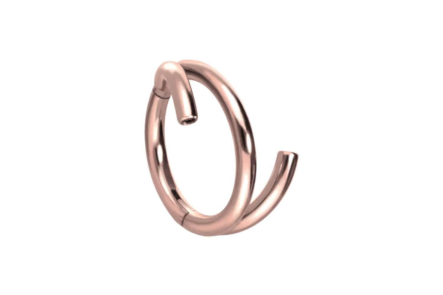 Piercing-Set Titan Segmentring Clicker mit Innengewinde 3 RINGE