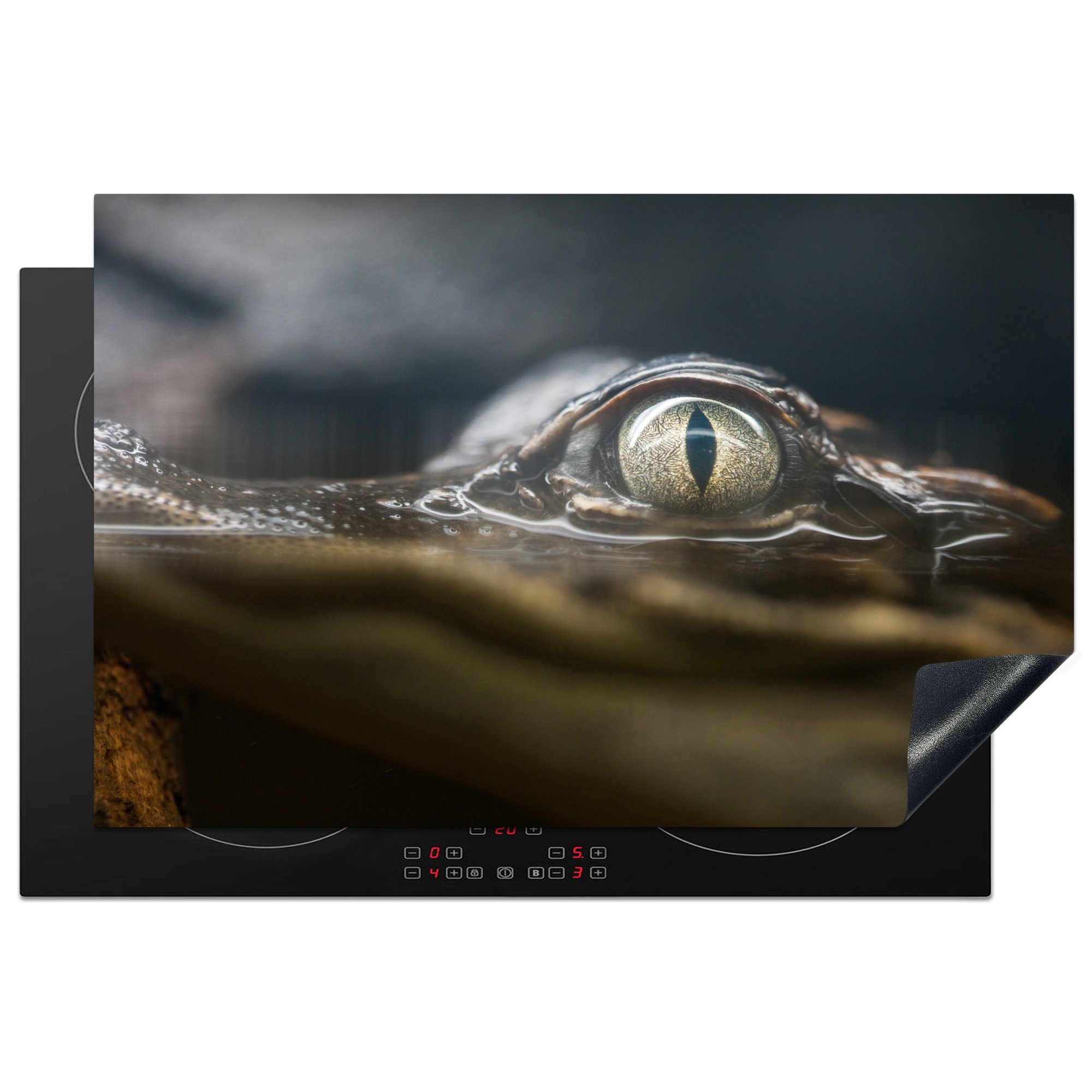 MuchoWow Herdblende-/Abdeckplatte Reptilien - Krokodil - Australien, Vinyl, (1 tlg), 81x52 cm, Induktionskochfeld Schutz für die küche, Ceranfeldabdeckung