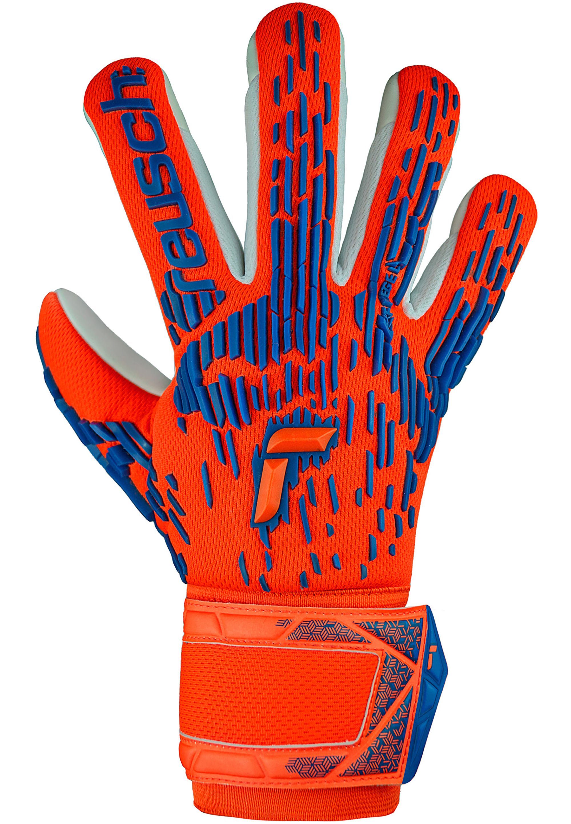 Reusch Torwarthandschuhe Attrakt Freegel Silver mit günstig online kaufen