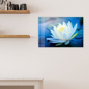DEQORI Magnettafel 'Lotusblüte im Wasser', Whiteboard Pinnwand beschreibbar