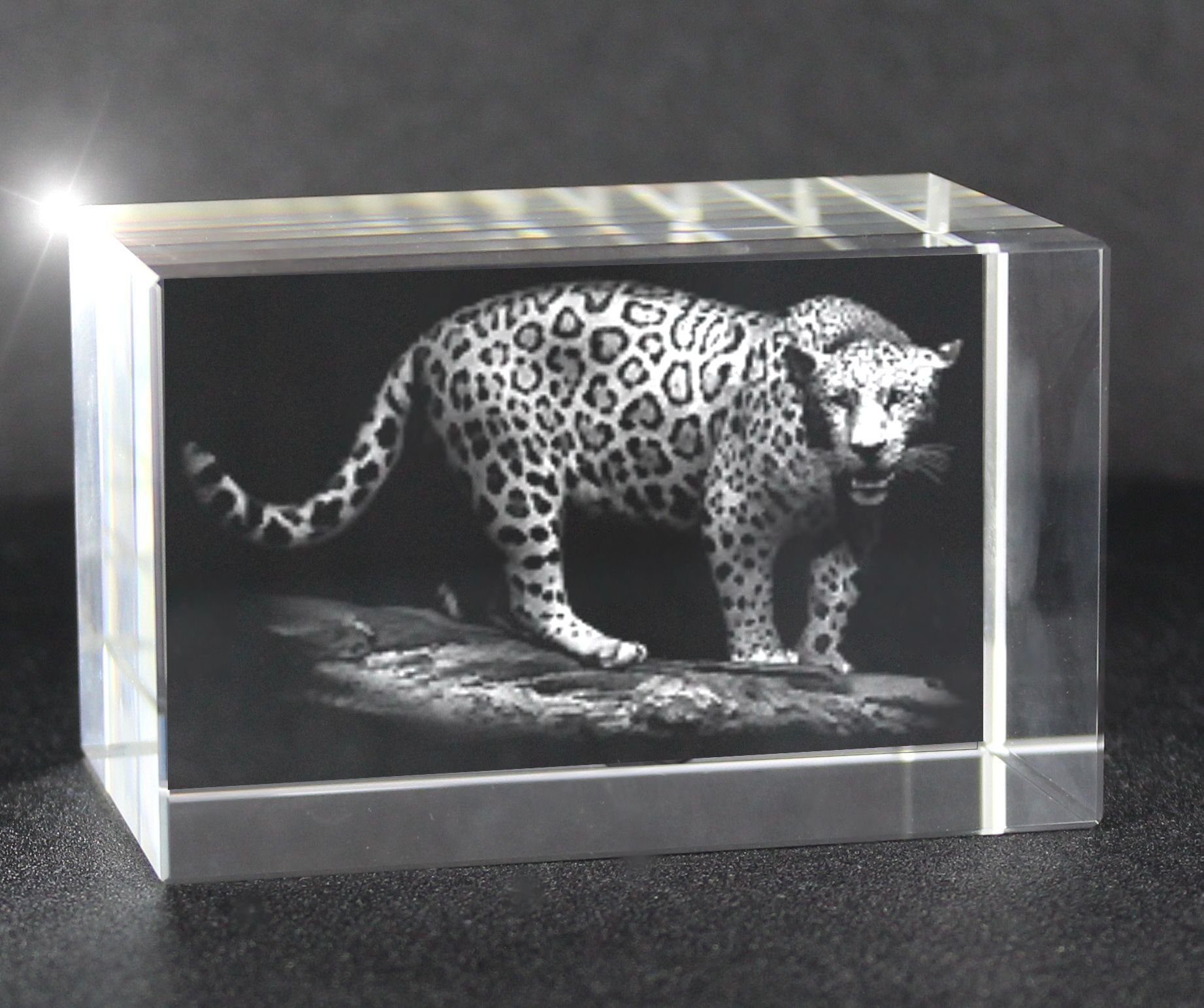 VIP-LASER Dekofigur 3D Glasquader Motiv: Jaguar, Hochwertige Geschenkbox, Made in Germany, Familienbetrieb | Dekofiguren