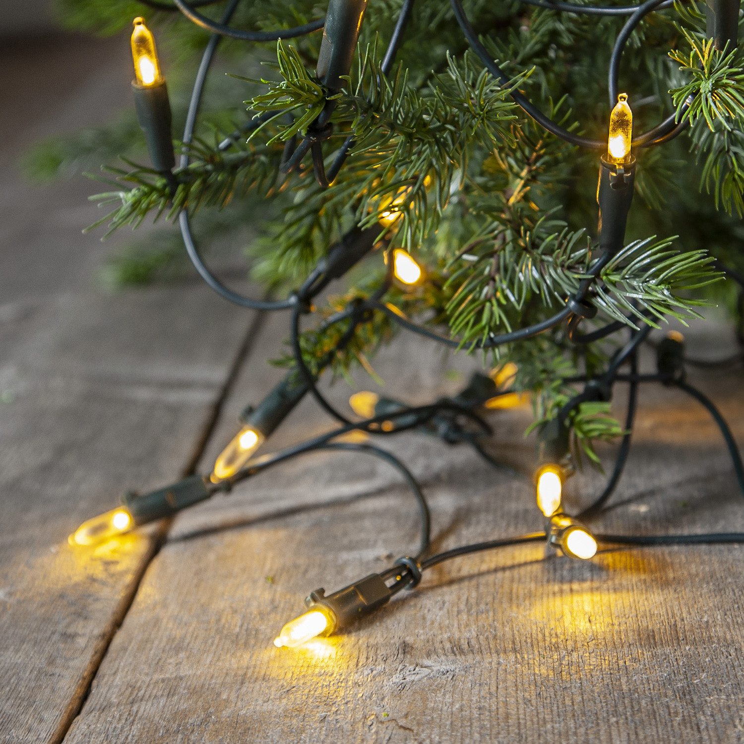 MARELIDA LED-Lichterkette Weihnachtslichterkette Pisello 20 warmweiße LED 2,85m für Innen grün, 20-flammig