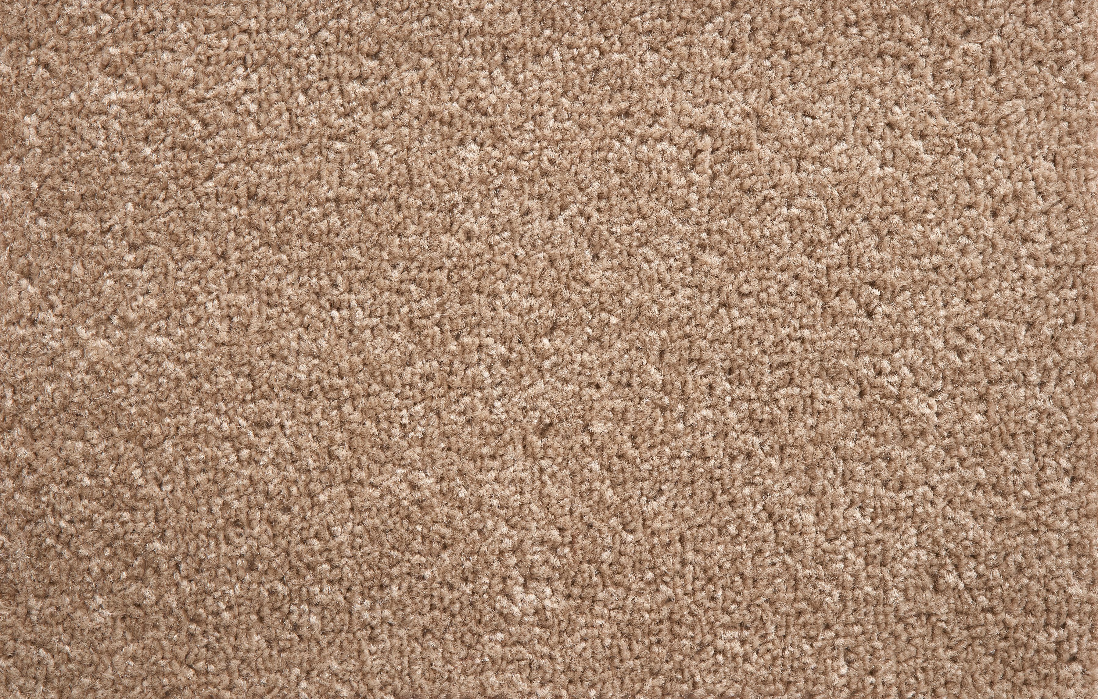 Andiamo Teppichboden Ines Breite 400 Cm Meterware Online