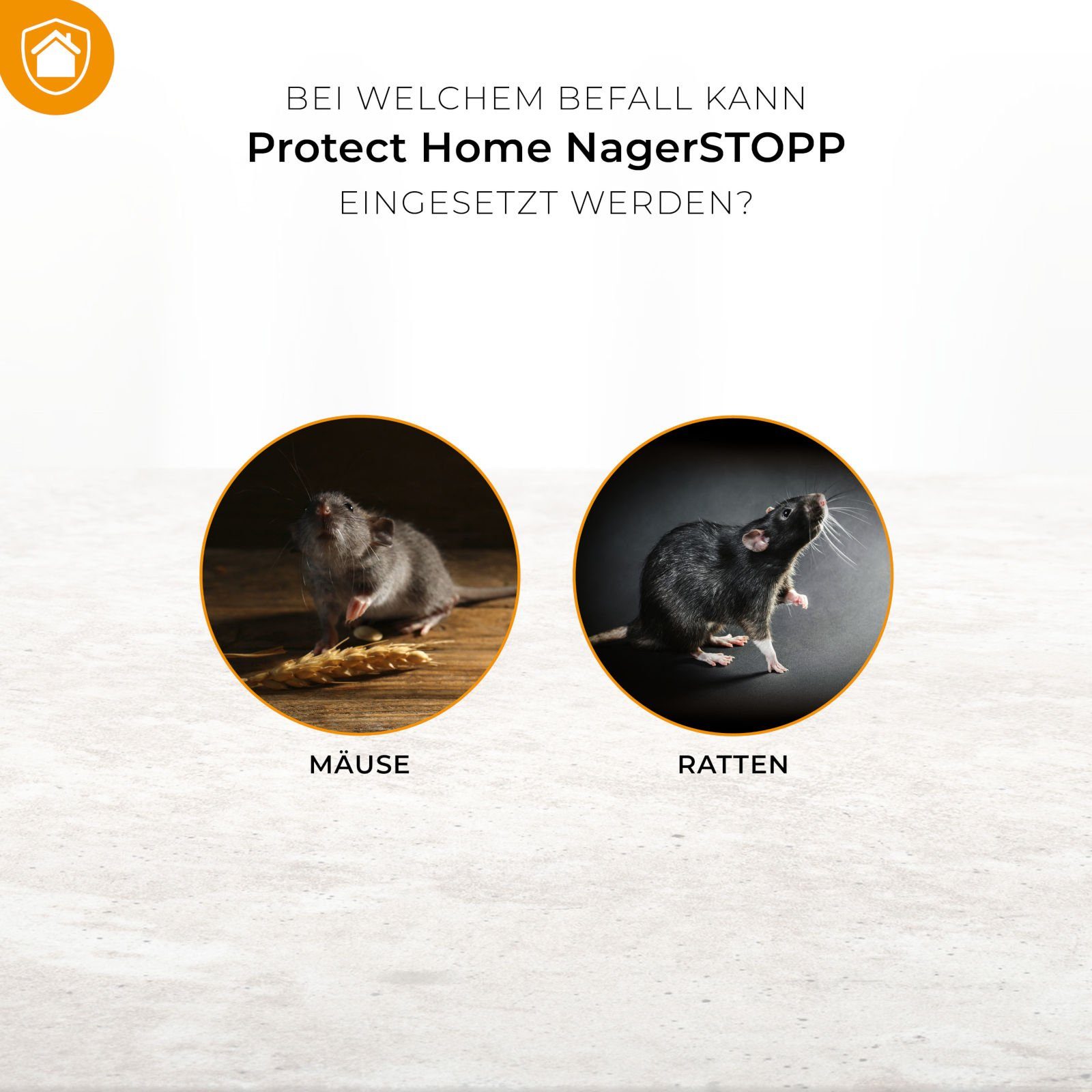 Protect Home Ultraschall-Tierabwehr NagerStopp 80qm Ultraschall gegen Nager wie Mäuse und Ratten – Bild 3 von 4